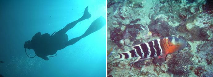 Tauchen in Koh Lipe